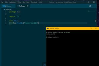 Hello, World in Go!