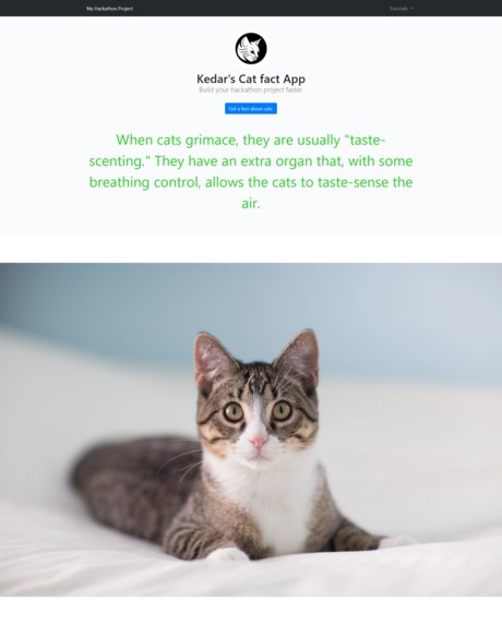 Cat facts - Build with a starter kit challenge – screenshot 1