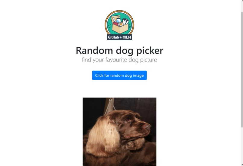 MLH Starter Pack - Random dog photo – screenshot 1