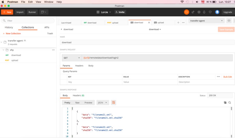 Transfer Agent – screenshot 1