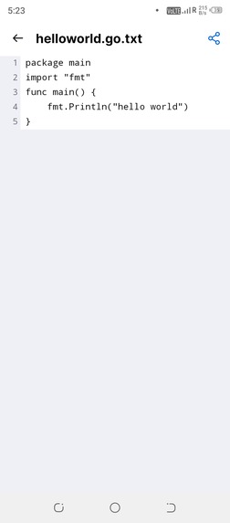 Hello World In New Language – screenshot 1