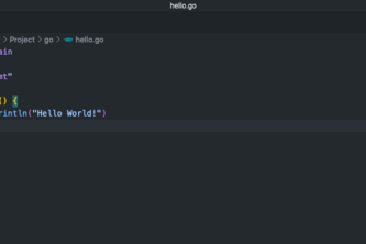Hello World with Go