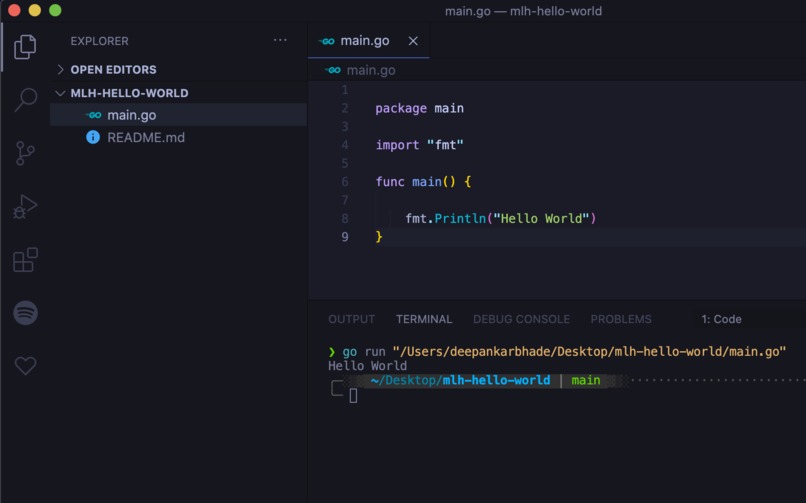 LHD: Build - Hello, World in a New Language – screenshot 1