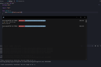 Hello world in Go