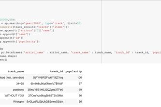 music api
