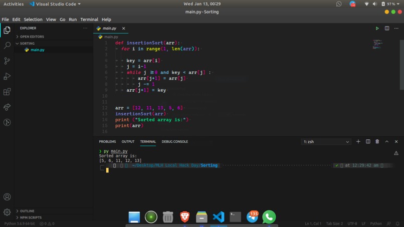 Insertion Sort – screenshot 1