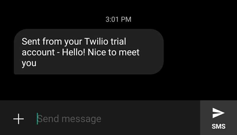 Twilio API – screenshot 1