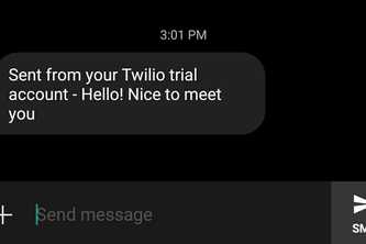 Twilio API