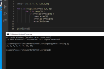 sorting algorithm