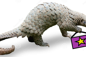 Pangolin