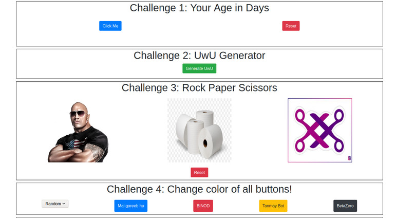 JavaScript- Challenge – screenshot 1