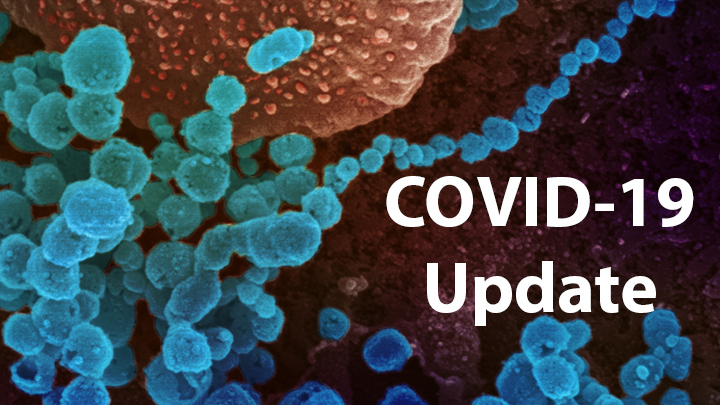 Covid 19 Dataset Analysis – screenshot 1