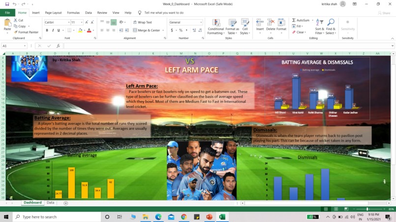 Excel Dashboard – screenshot 1