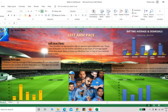 Excel Dashboard | Devpost