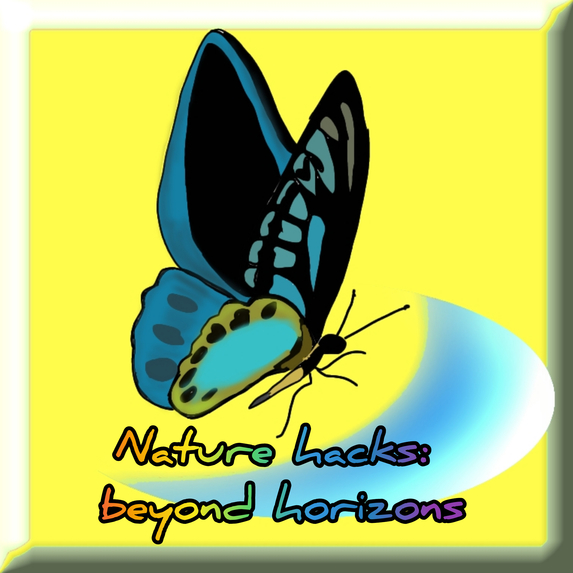 Nature hacks: beyond the horizons – screenshot 1