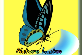 Nature hacks: beyond the horizons