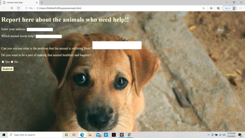 Protect animals – screenshot 1
