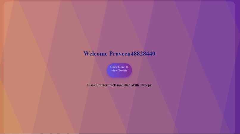 Flask starter – screenshot 1