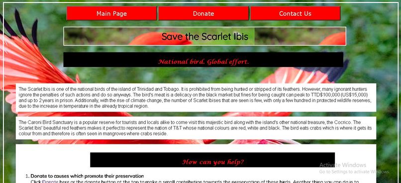 Save the Scarlet Ibises – screenshot 1