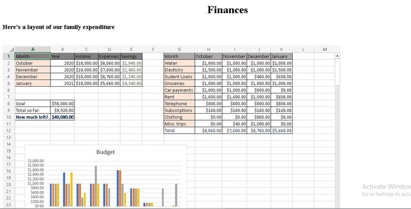 Family Budget – screenshot 1