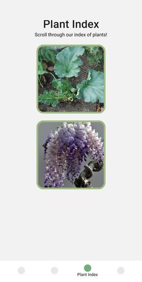 Fleurish – screenshot 4