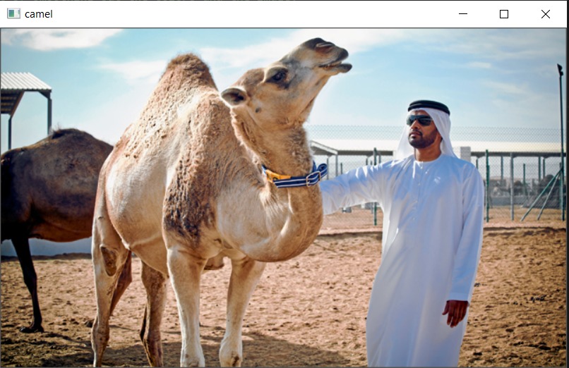 Photo To Sketch – screenshot 2