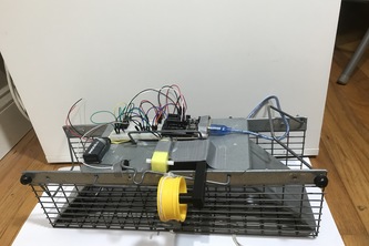 Auto Animal Trap (David Feng - Motion Box)