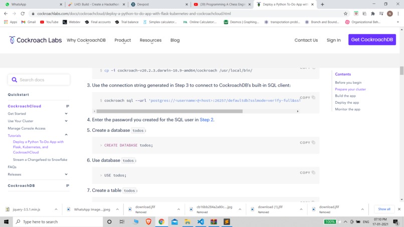 cockroach DB – screenshot 1