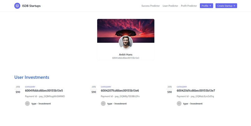 ISDB-Startups (Internet Startups Database) – screenshot 9