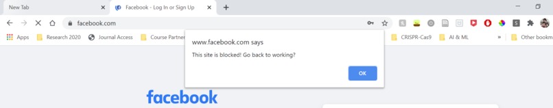 Study Buddy – screenshot 9