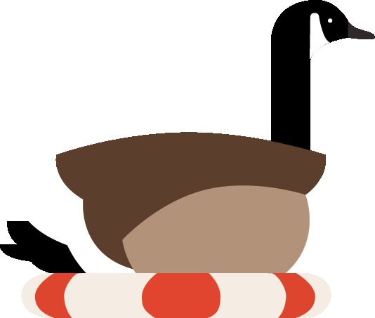 Dr. Goose – screenshot 1