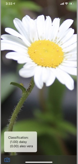 Planti – screenshot 6
