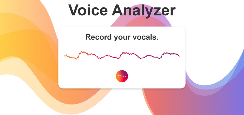 VocalAnalyzer – screenshot 2