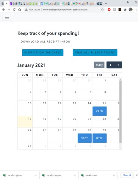 Expenditure Manager – screenshot 2