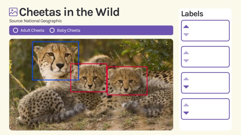 Dataforest – screenshot 3