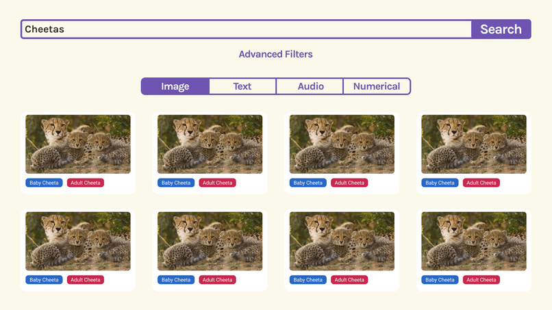 Dataforest – screenshot 4
