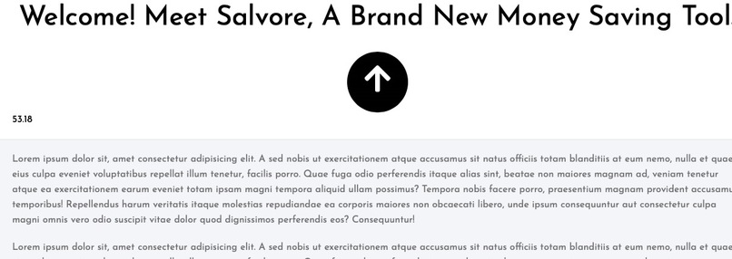 Salvare Financial – screenshot 1