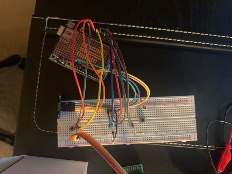 Fish Feeder Pro - Nicholas Hamakami – screenshot 1