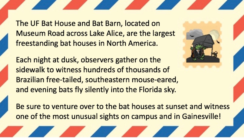 The Gat-AR Tour – screenshot 2