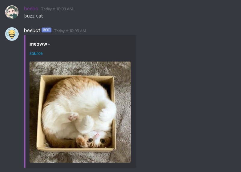 beebot – screenshot 3