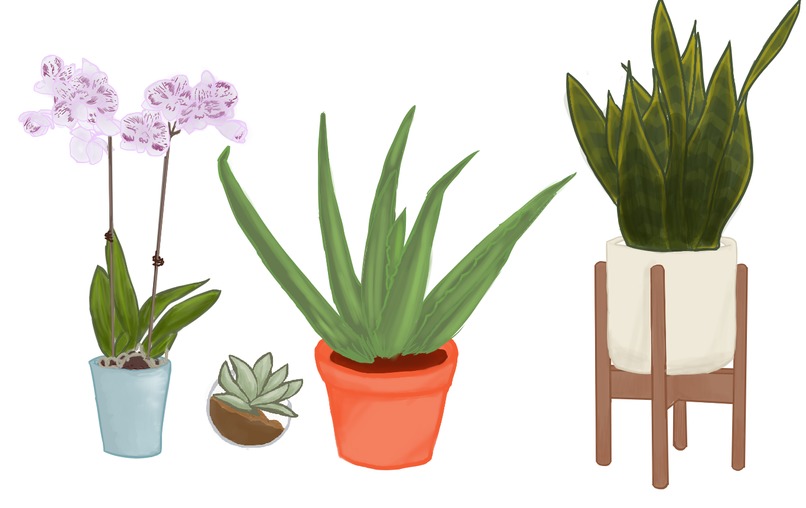 Hana – screenshot 2