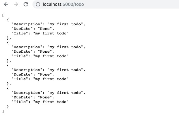flask app – screenshot 1
