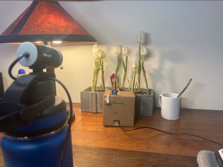 Gnome – screenshot 3