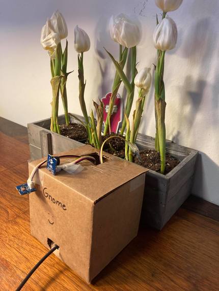 Gnome – screenshot 4