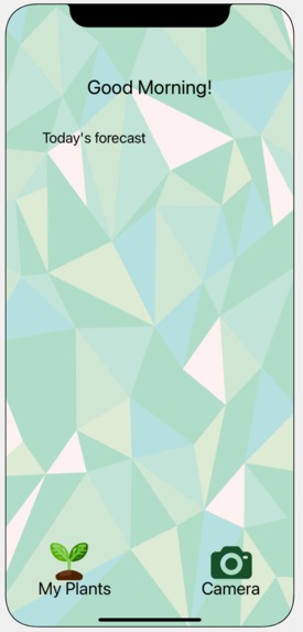 Planti – screenshot 3