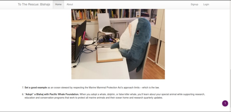 Flask webapp – screenshot 1