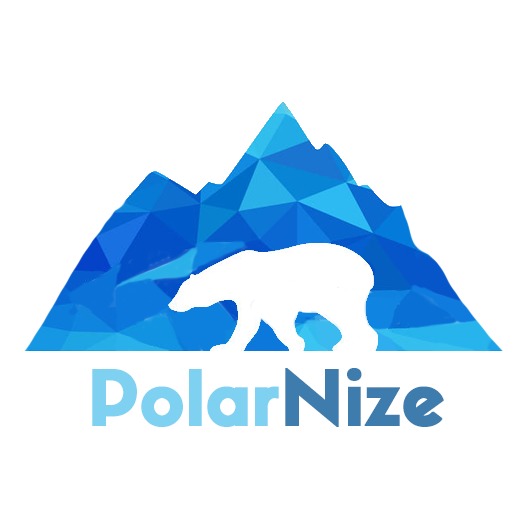 PolarNize – screenshot 1