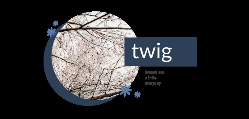 twig – screenshot 1