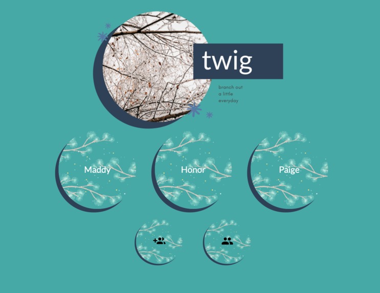 twig – screenshot 2