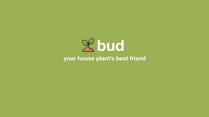 bud [AudioVisual]  – screenshot 5